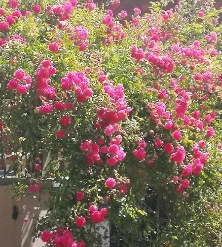 La Cour Du Puits Victor 3* Cormeilles (Eure)